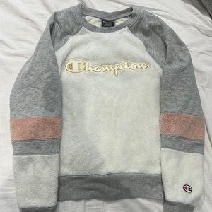 Champion hoodie, size small